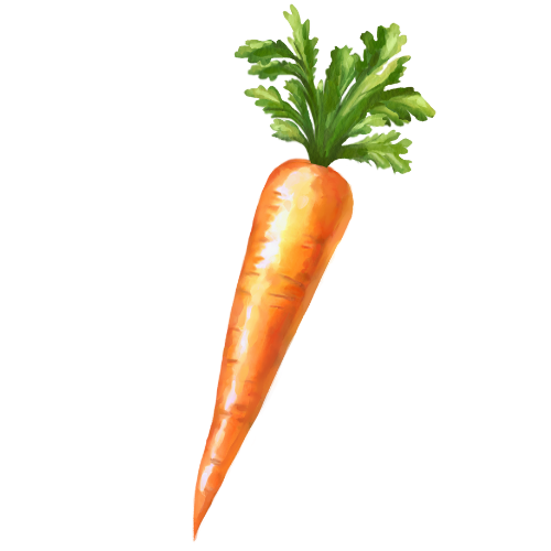 Zanahoria